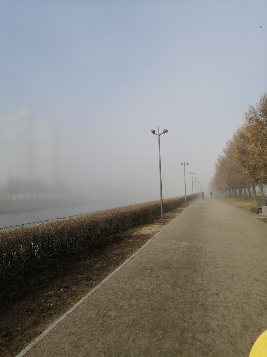 В тумане легко можно ошибиться