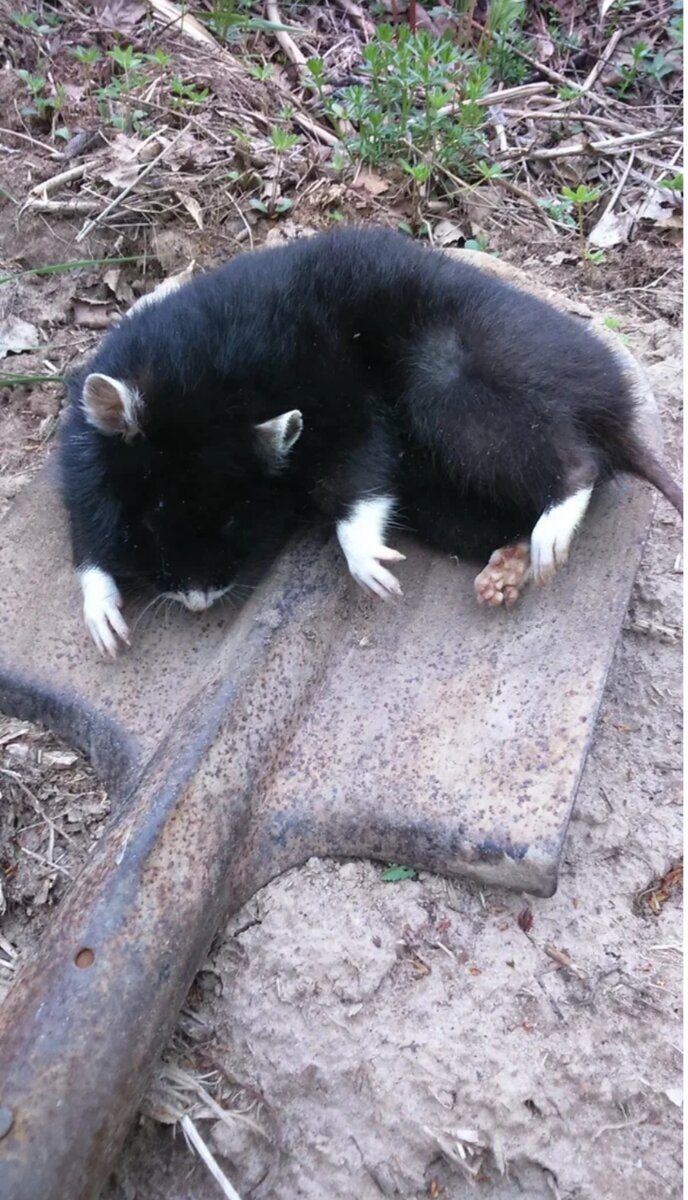 Фото из открытых источников 