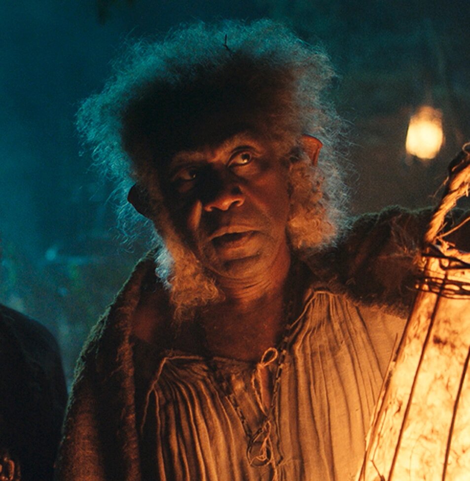 Интересно, куда к Третьей Эпохи пропали все чернокожие хоббиты?