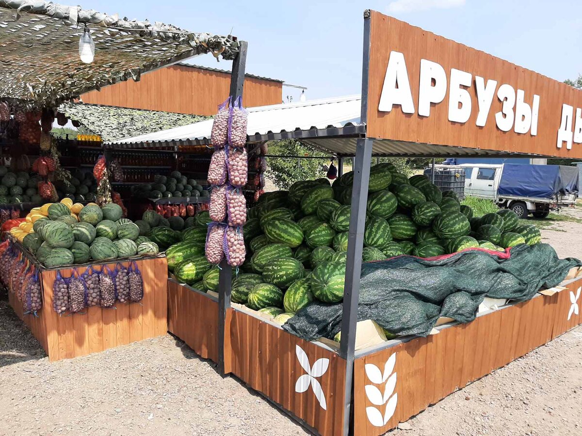 Такие вот рынки арбузов и дынь можно встретить по дороге от Черного моря домой