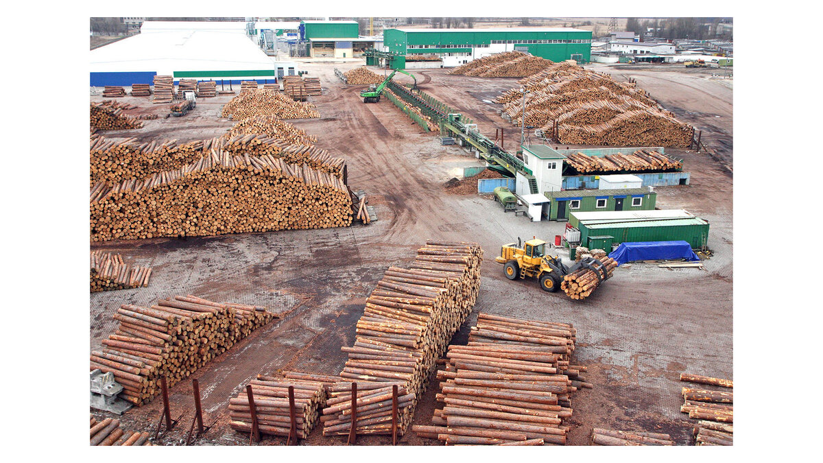    %Деревообрабатывающее предприятие© РИА Новости . Игорь Зарембо