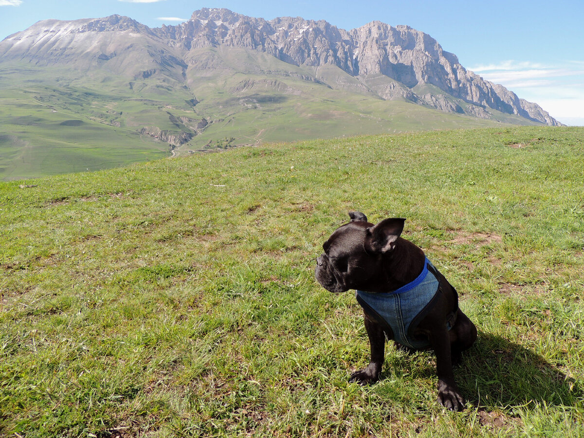 Привет от Шанти!