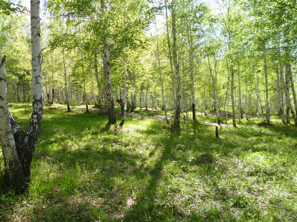 Летний сон, Попова Марина, фото автора
