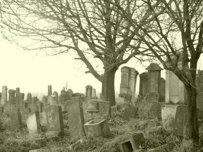 старое заброшенное кладбище. кладбище ночью дорога. зловещее кладбище. на старом кладбище вечернею порою. готика эстетика кладбище.