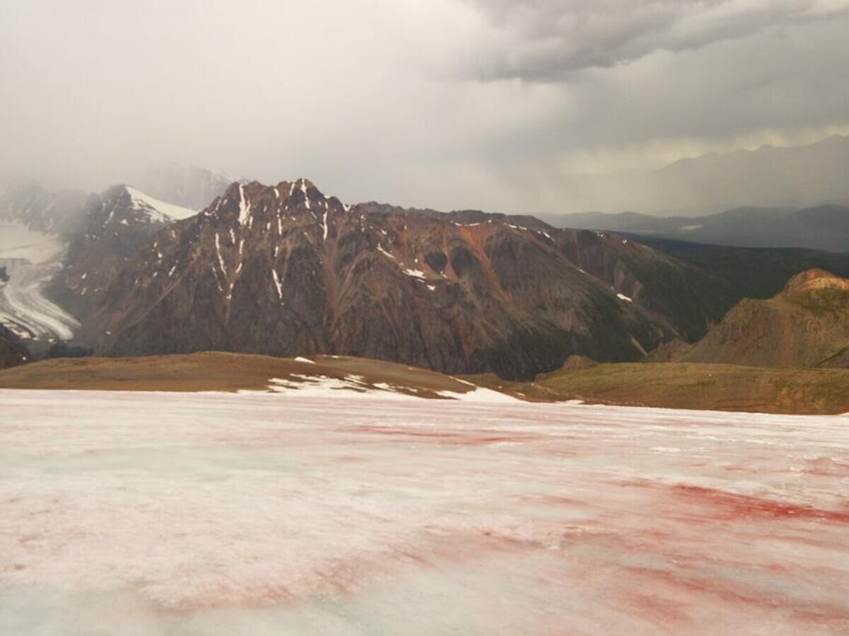    Ледник Водопадный© Фото : пресс-служба Томского государственного университета