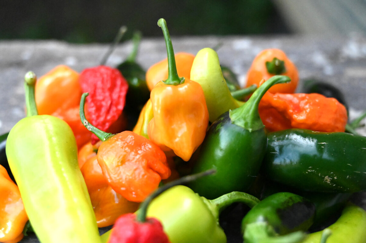 Жжёт, даже когда просто на них смотришь