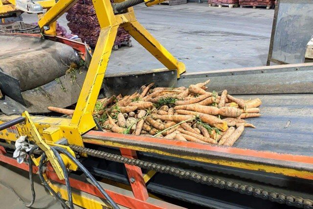   Фото из архива Калининград.Ru