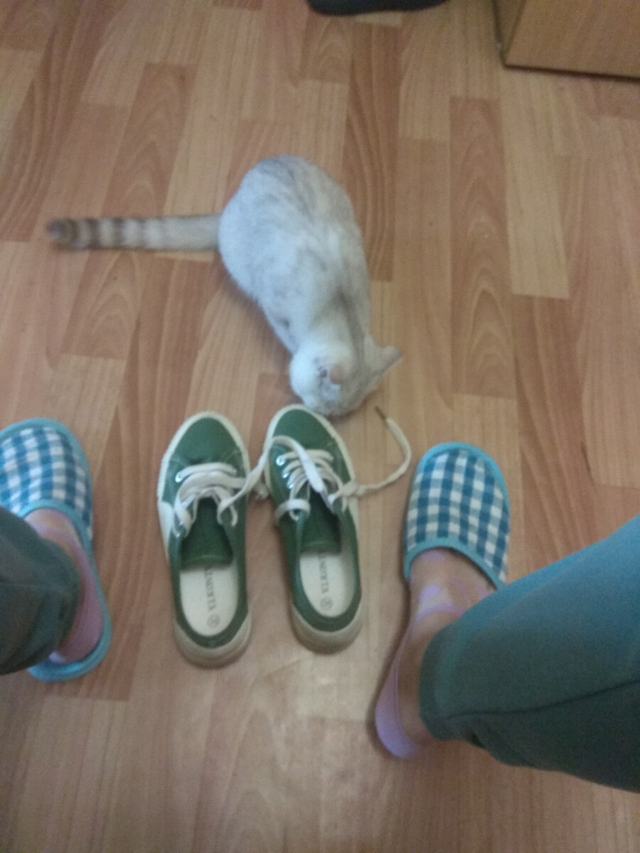  О ШНУРКИ!!! Не даёт... И вечером всю обувь прячет.