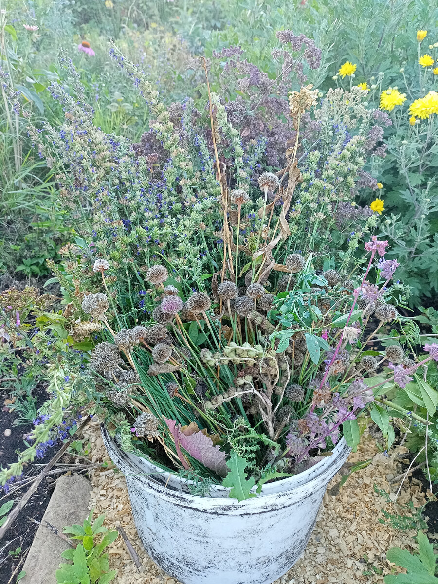 Ну прям букет