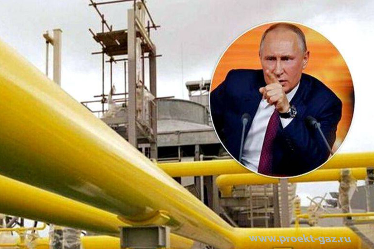 Газовая победа Европы и неудачная попытка Путина ее шантажировать |  Неординарные новости мировой газовой отрасли | Дзен