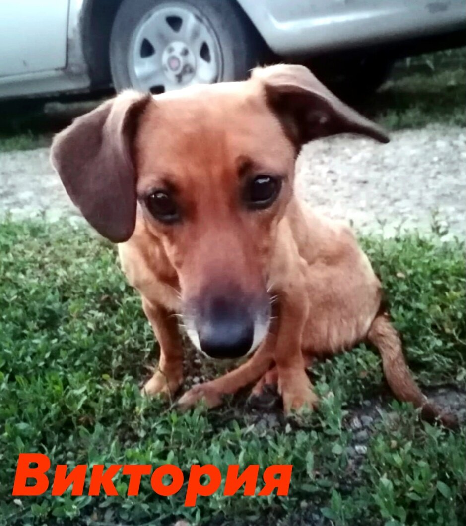 Бывшая Вилочка