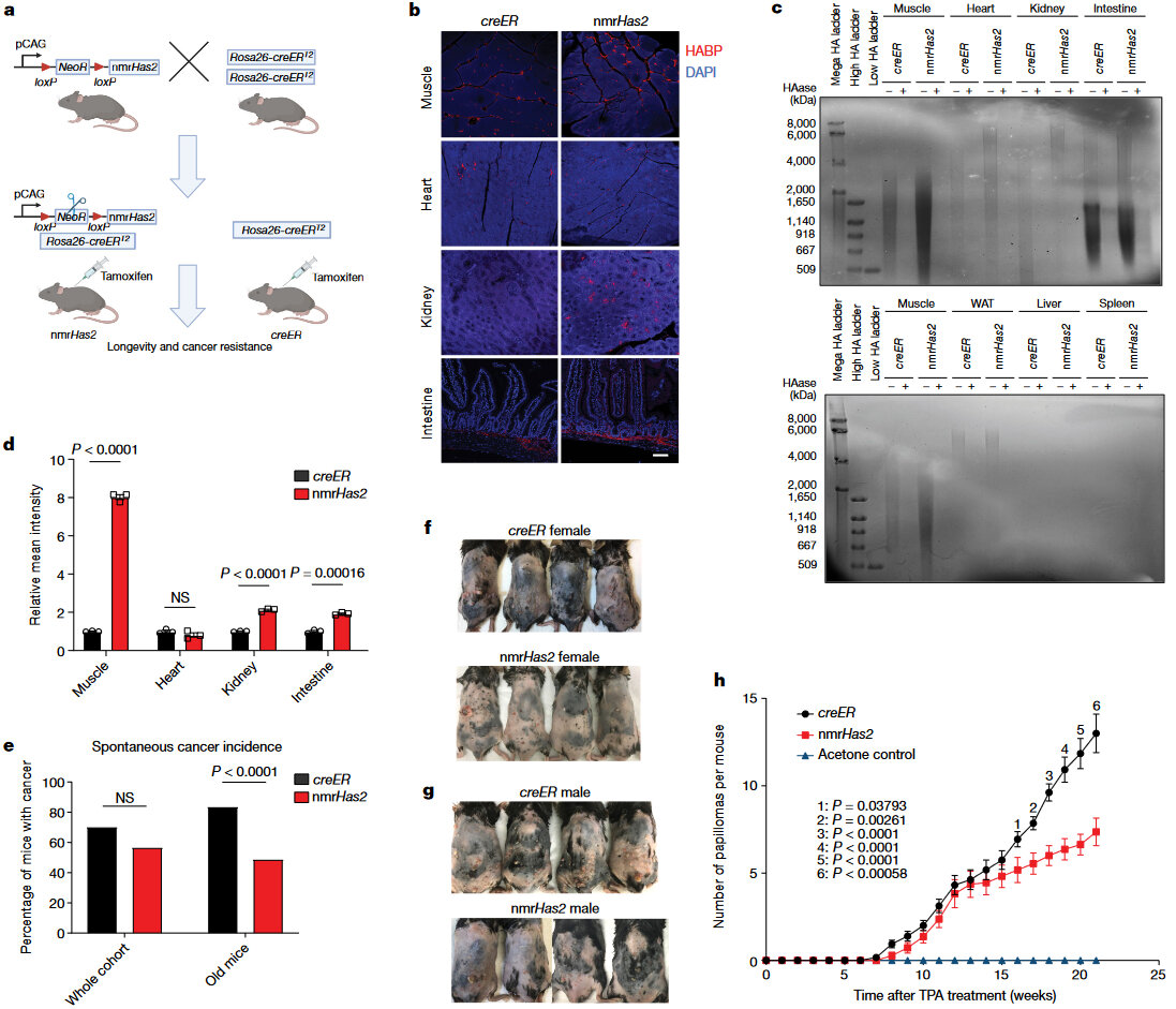   Zhihui Zhang et al. / Nature, 2023