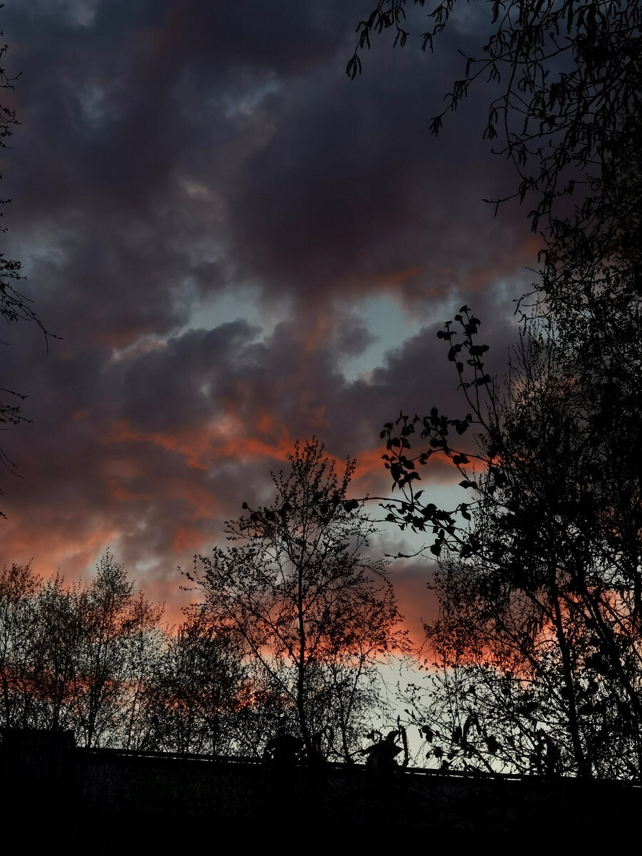 Фото сделано автором статьи. Наилучшая атмосферность жизни. 