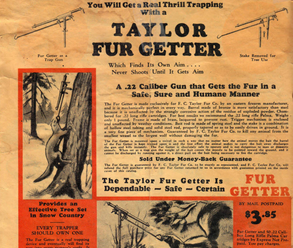 В начале XX века охота на пушного зверя на севере США и в Канаде по-прежнему оставалась крайне популярной, просто трапперы уже лазали по лесам не с кремневыми мушкетами.-11