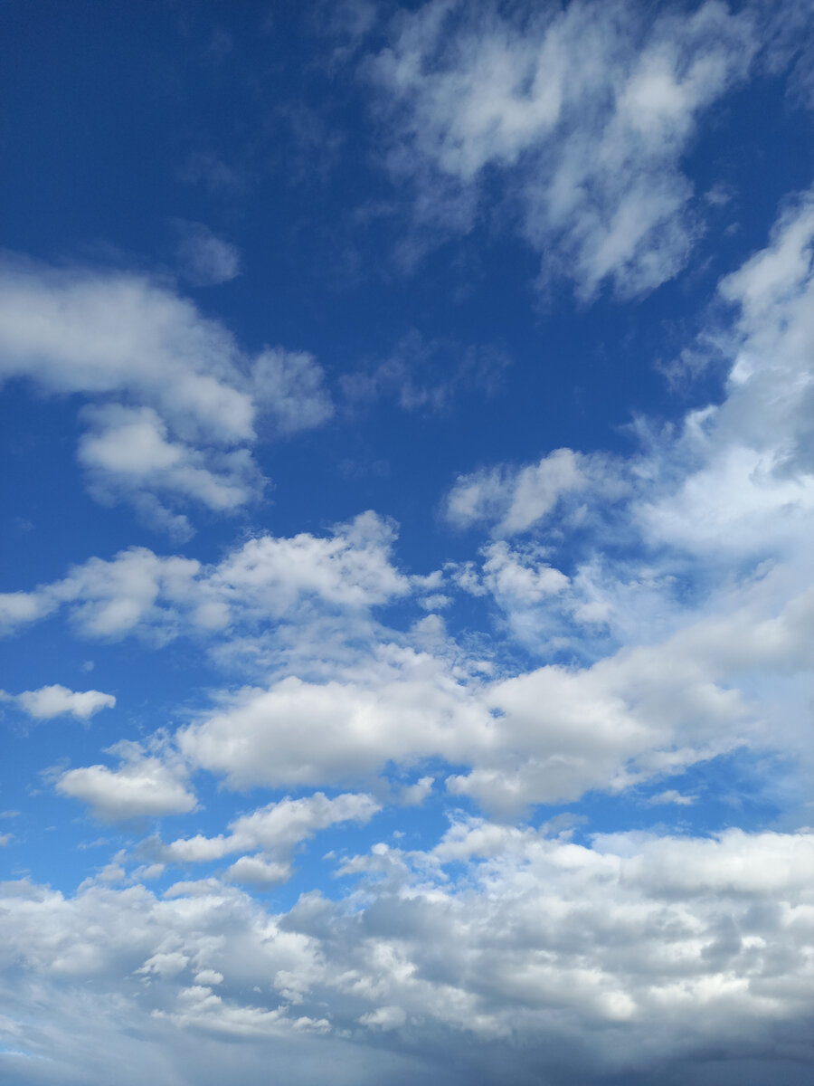 Авторское фото