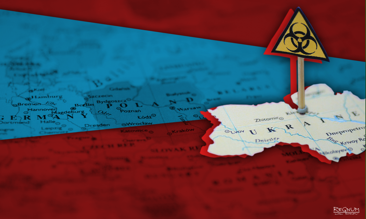    Энергетика на Украине Иван Шилов © ИА REGNUM