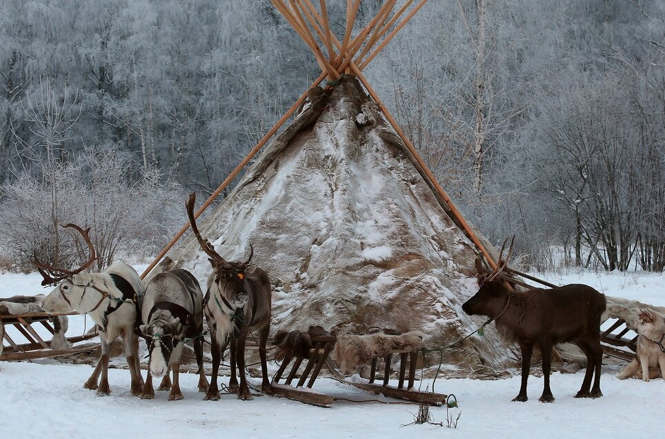 Чум. Современная реконструкция. Изображение из сети Интернет. 