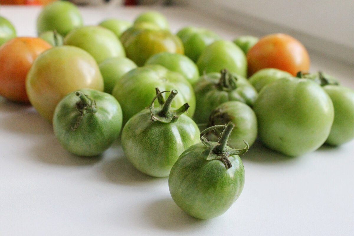 Сомневалась в том, что зеленые помидоры можно вкусно приготовить: проверила  - понравилось, делюсь рецептом | Вкусная копилка: рецепты для начинающих |  Дзен