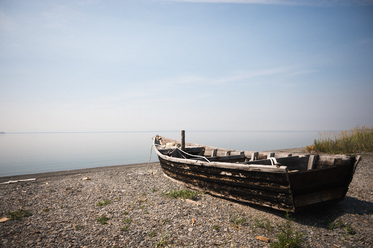 Картинка с бесплатного фотостока https://unsplash.com, автор Ekaterina Nazmeeva