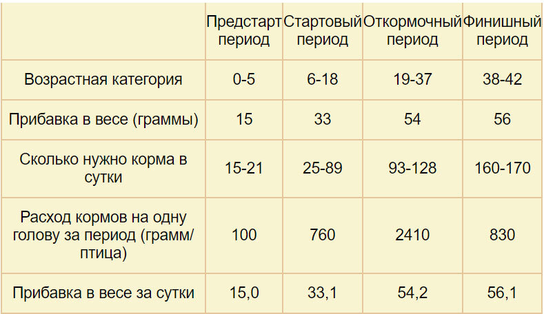 Технология выращивания, содержания и разведения цыплят бройлеров