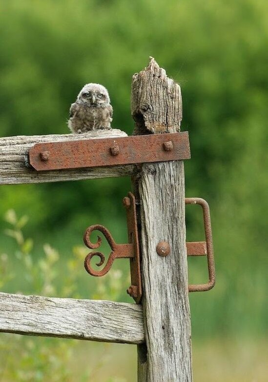 Присаживайся, сейчас всё расскажу