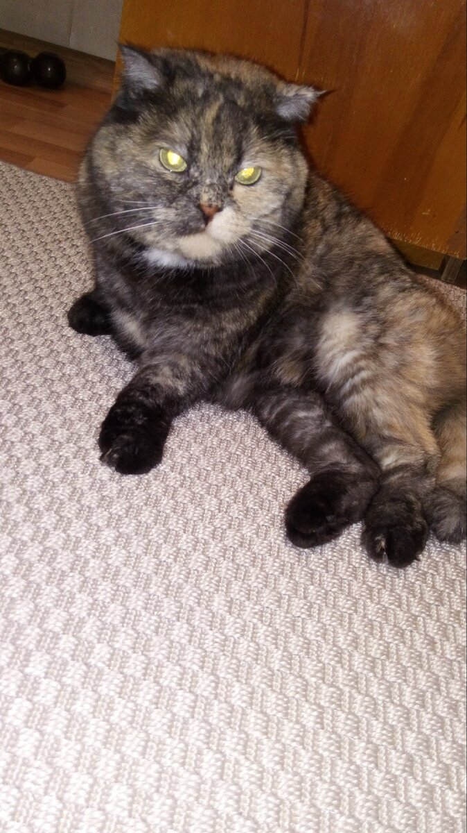 Ты кто такой? Давай до свидания!