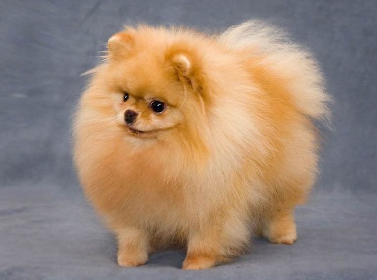 Фото: yandex.com