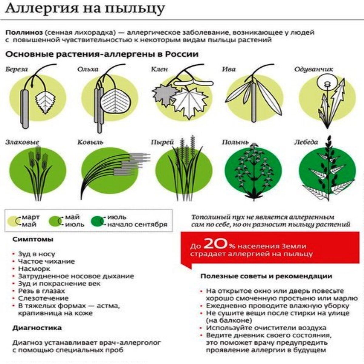 Карта аллергенов москва что сейчас цветет