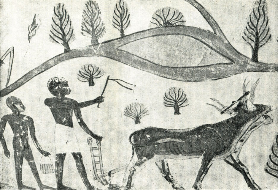 Картинка взята с открытого источника Яндекс Картинки.