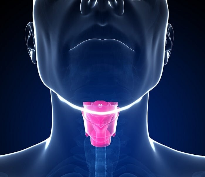 Источник Яндекс Картинки