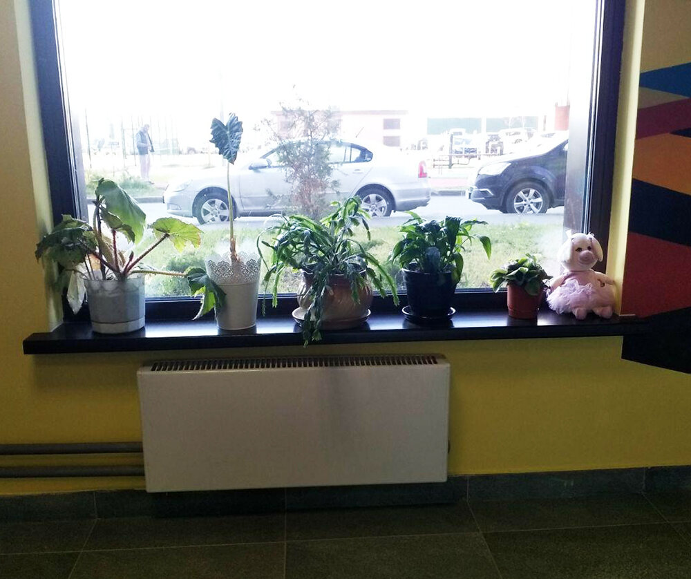 Мой подъезд. Цветочки - ок. А вот свинке до свиданья.