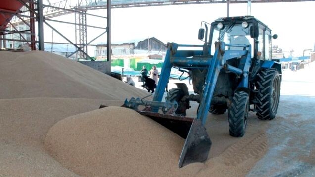  Фото: Сергей Колодезный.Элеватор Болотнинского района активно развивается.   
 