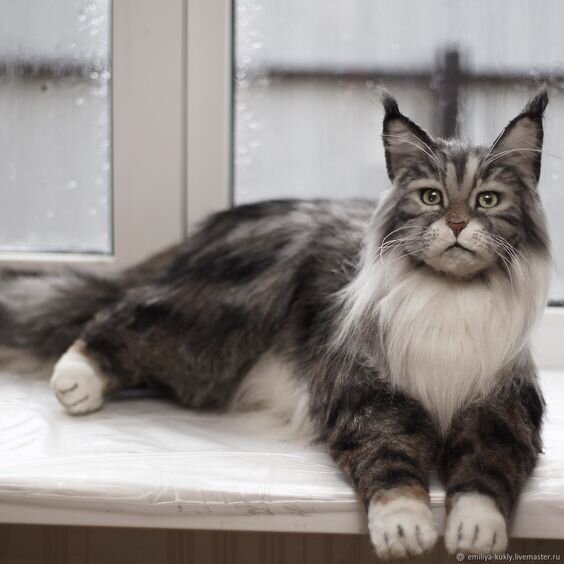 крыніца :https://www.pinterest.ru/pin/666251338604204217/