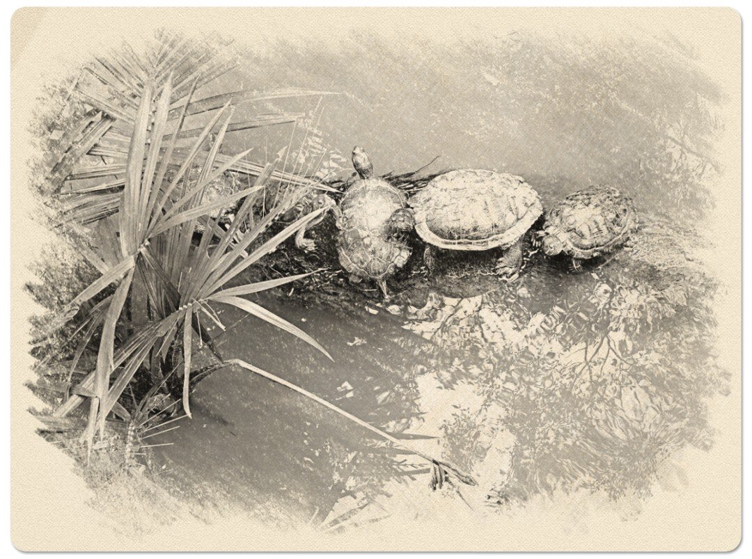 На территории парка расположены несколько озер