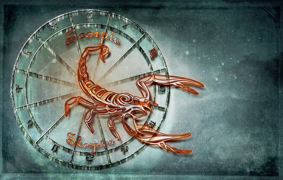 https://cdn.pixabay.com/photo/2017/08/28/15/28/scorpio-2689945_960_720.jpg