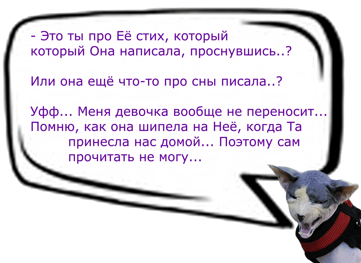 (Кошачьи диалоги)