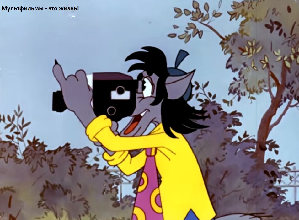 Волк снимает видео на камеру «Кварц 1х8 С-2»