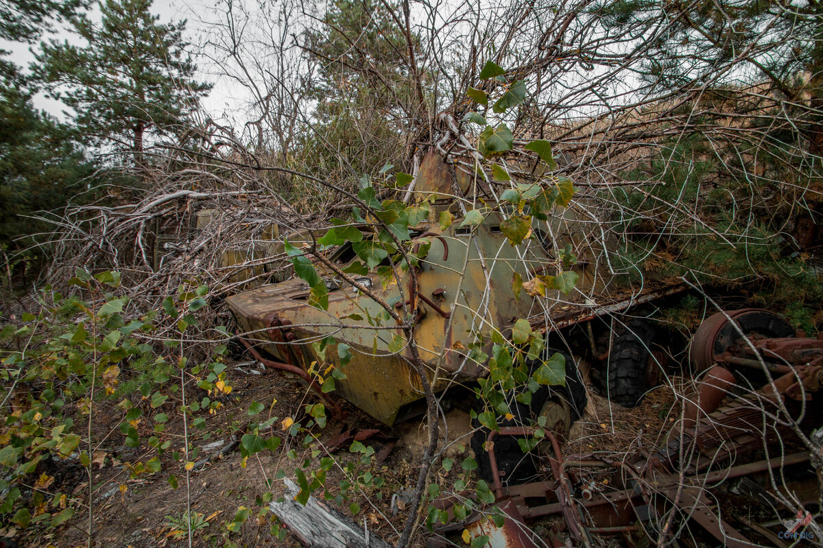Эти «металлические ликвидаторы» стоят в Чернобыльском лесу больше 30 лет!