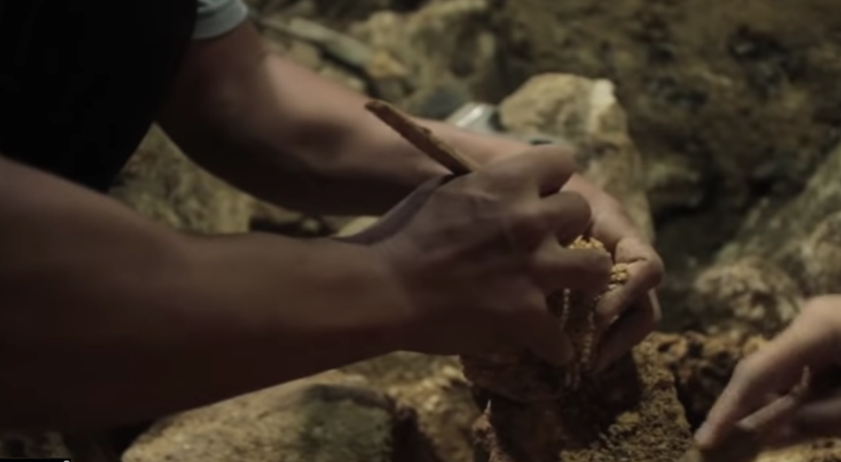 Источник фото: YouTube 