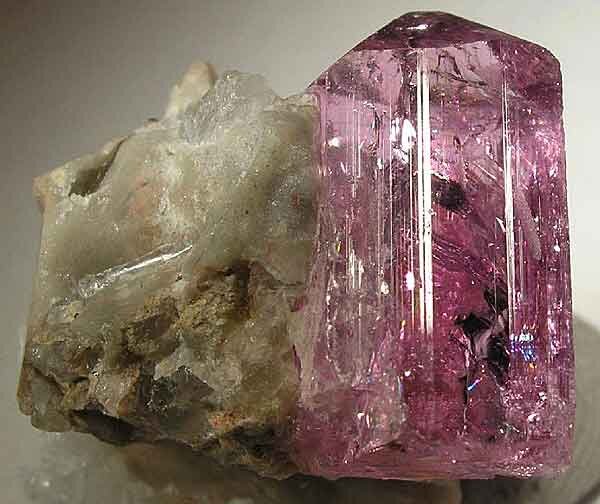 Источник фото: twitter.com