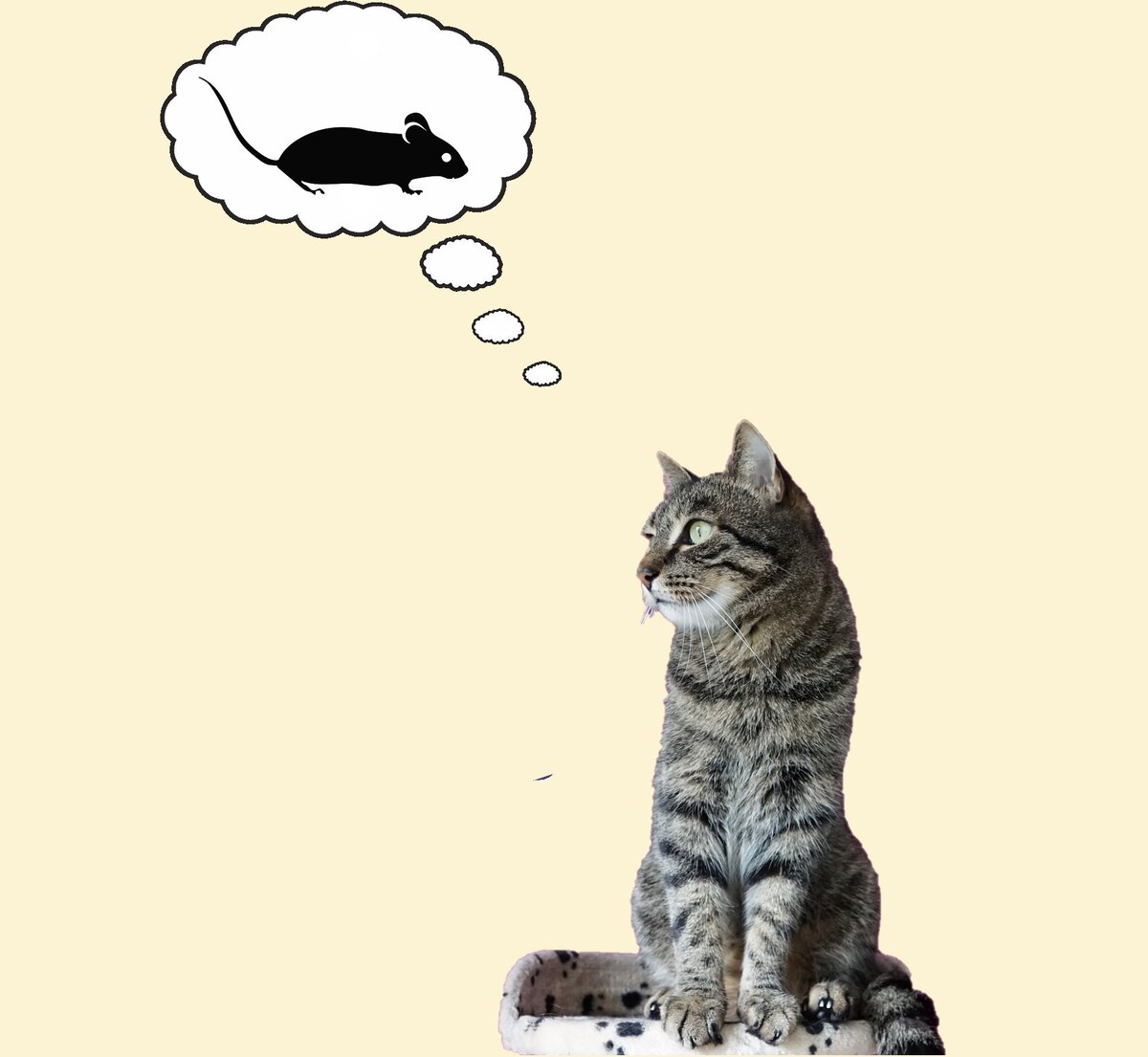 Выбор всегда сложен