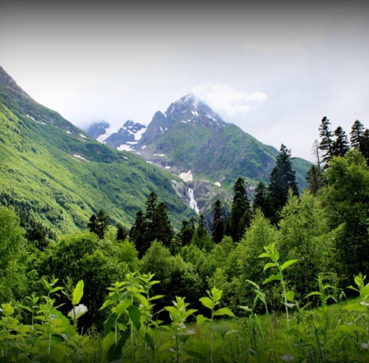 Алибекское ущелье. Фото автора.