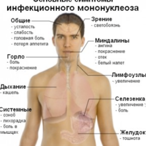 Боль в левом боку под ребрами (подреберье) - причины, лечение — Клиника «Доктор рядом»