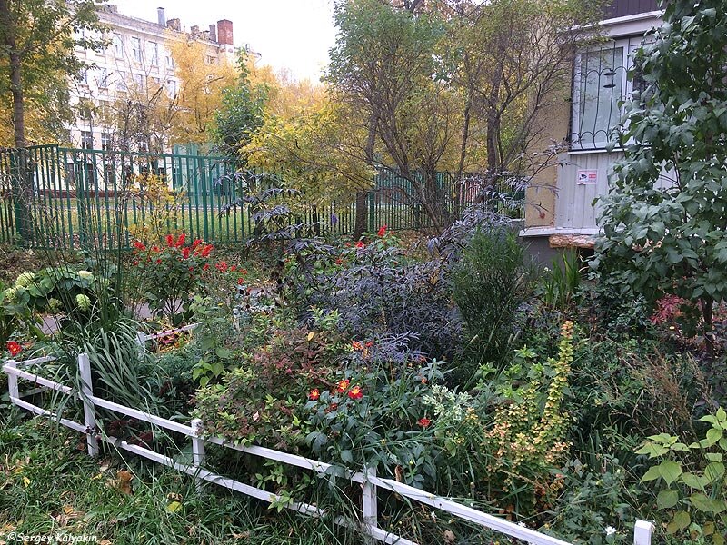 Палисадник на улице Гончарова в Москве