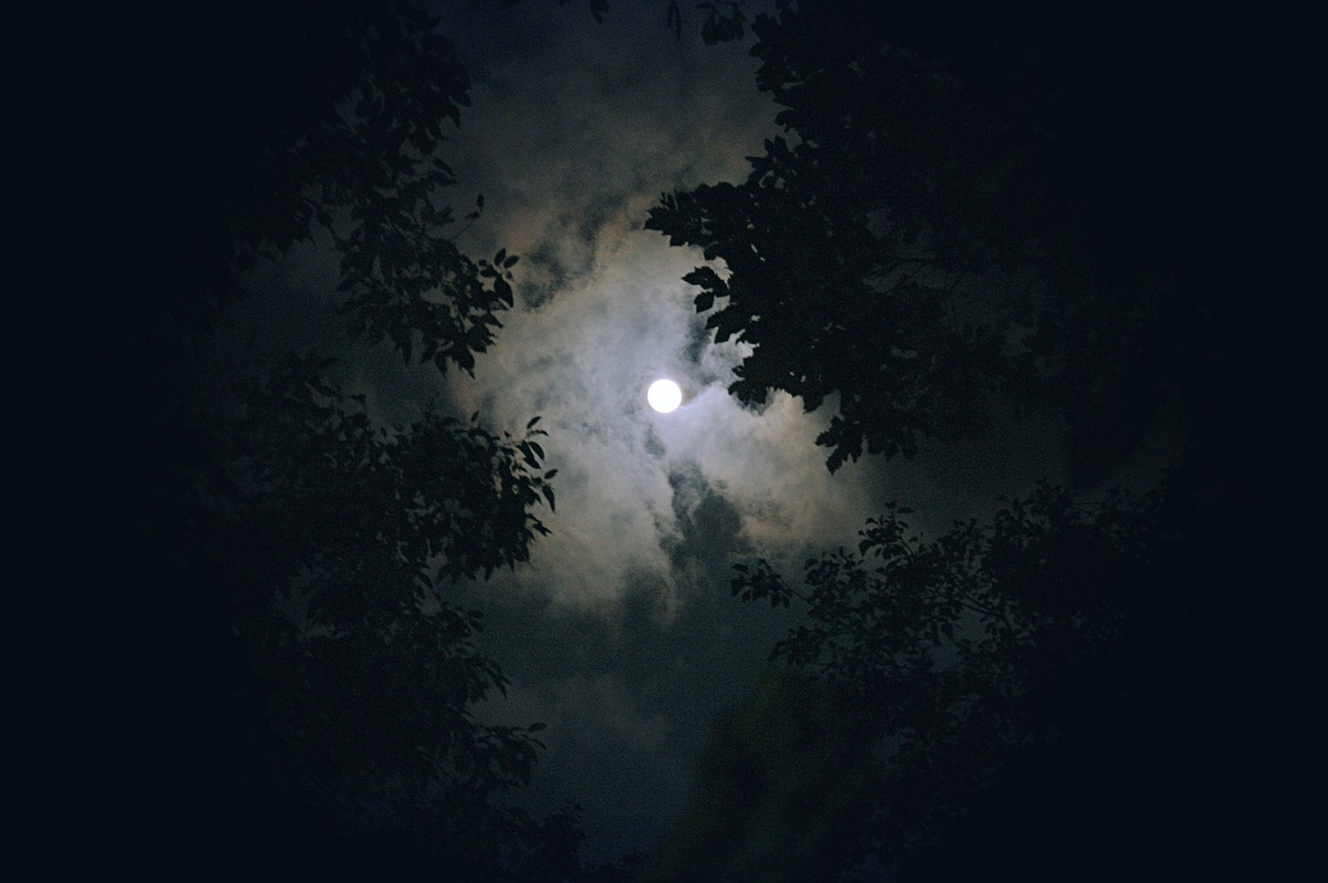 https://cdn.pixabay.com/photo/2016/02/05/03/58/moon-1180345_1280.jpg