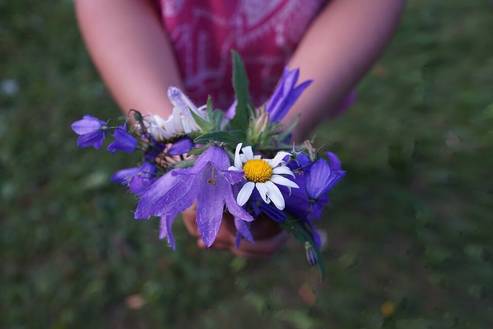 https://pixabay.com/photos/flowers-strauss-purple-hands-child-871499/