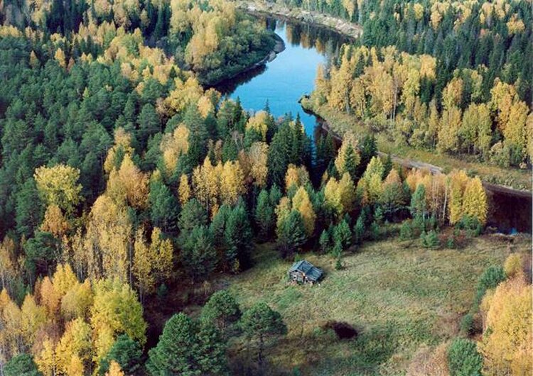 Заповедник малая сосьва презентация