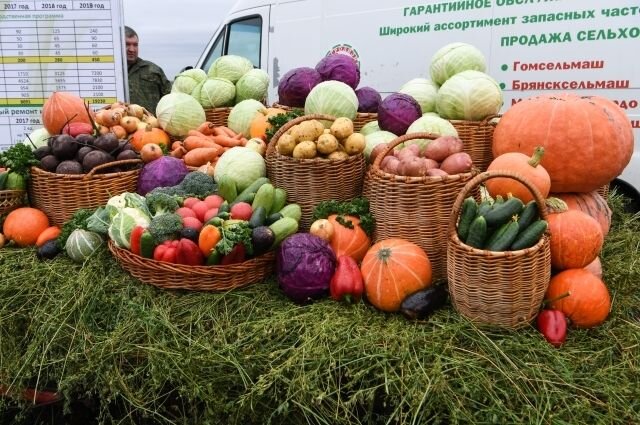 Начало дачного сезона картинки