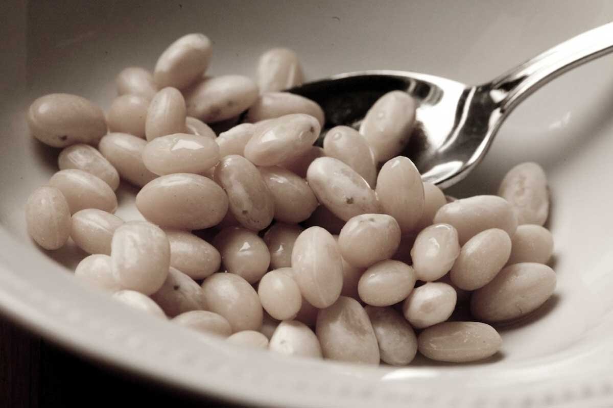 Haricot beans. чечевица. морские бобы. фасоль белая. морские бобы.