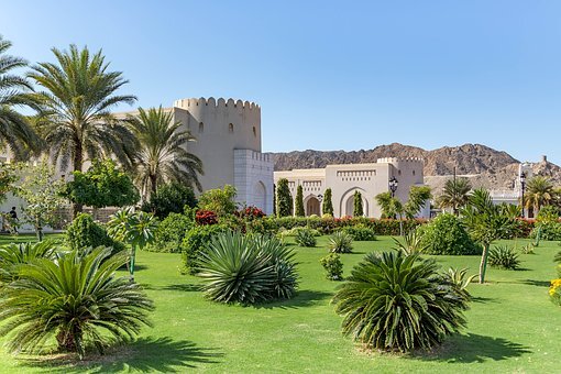 фото https://pixabay.com/ru
